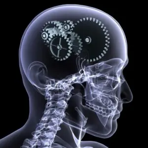 The neurosciency stuff
